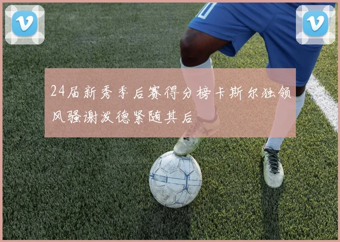 24届新秀季后赛得分榜卡斯尔独领风骚谢泼德紧随其后