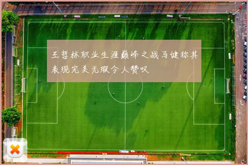 王哲林职业生涯巅峰之战马健称其表现完美无瑕令人赞叹